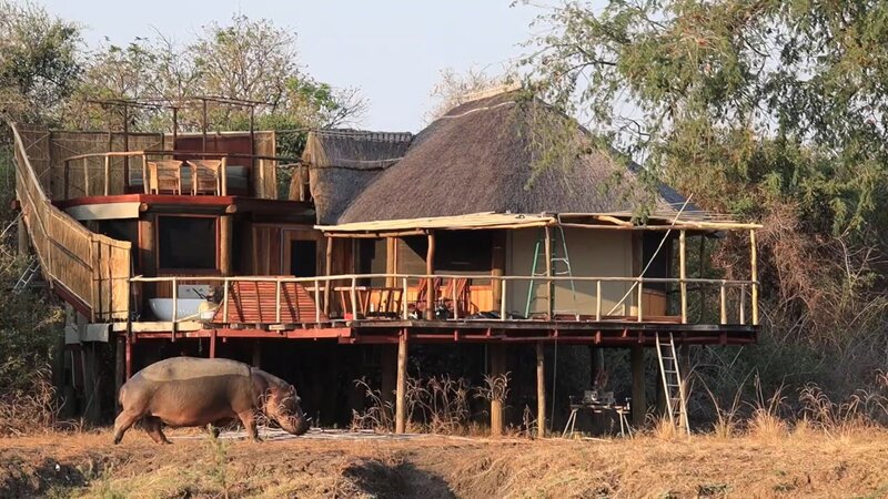 Zambia-South-Luangwa-Lion-Camp-visitors2