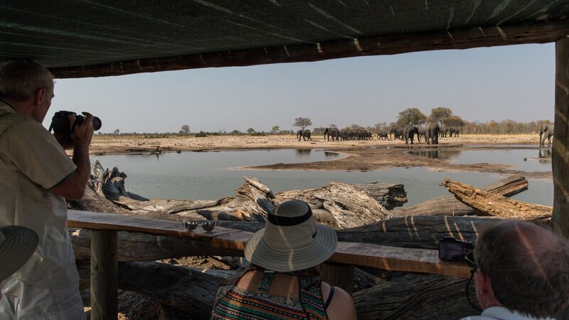 Zimbabwe-Hwange NP-Little Makalolo Camp (16)