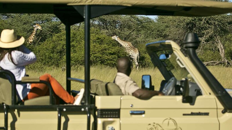 Zimbabwe-Hwangwe-National-Park-The-Hide-Safari-Camp-game-drive2