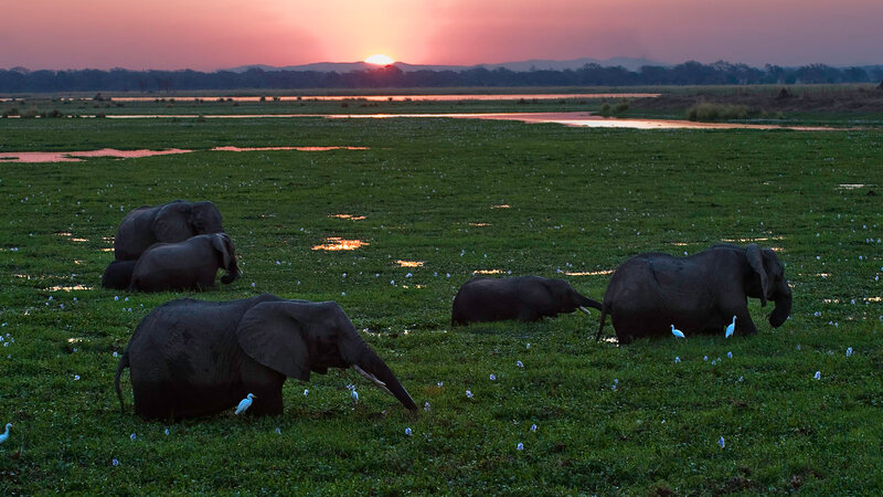 Zimbabwe-Mana Pools National Park (5)