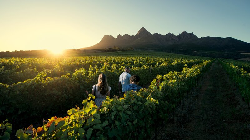 Zuid-Afrika-Kaapse-Wijnlanden-streek-5-koppel