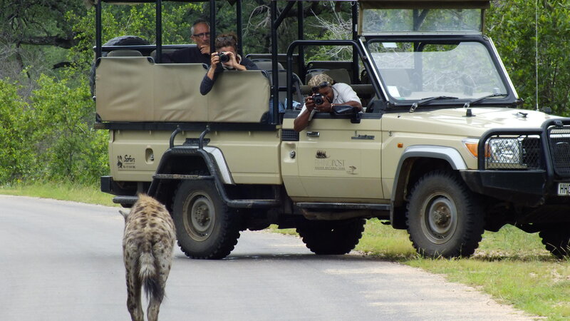 Zuid-Afrika-Kruger-Rhino-Post-Safari-Lodge-gamedrive