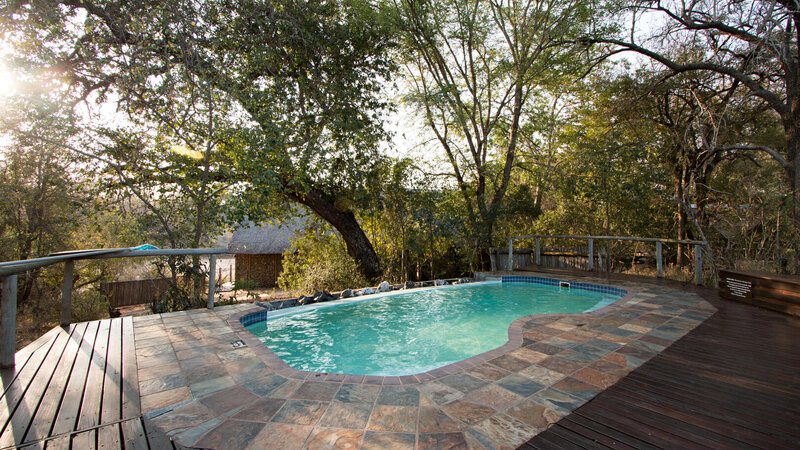 Zuid-Afrika-Kruger-Rhino-Post-Safari-Lodge-zwembad