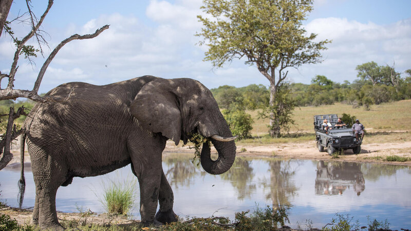 Zuid-Afrika-Sabie-Sands-Silvan-Safari-Lodge-gamedriva