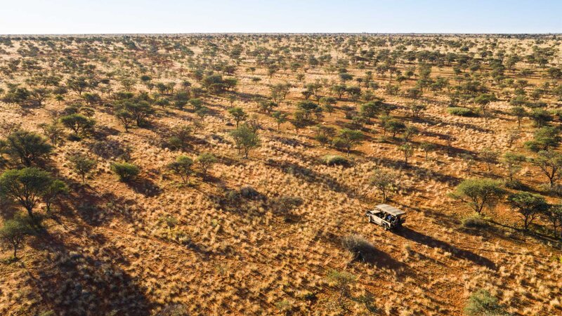 Zuid-Afrika-Tswalu-Kalahari-Private-reserve-the-motse-safarilodge-savanne