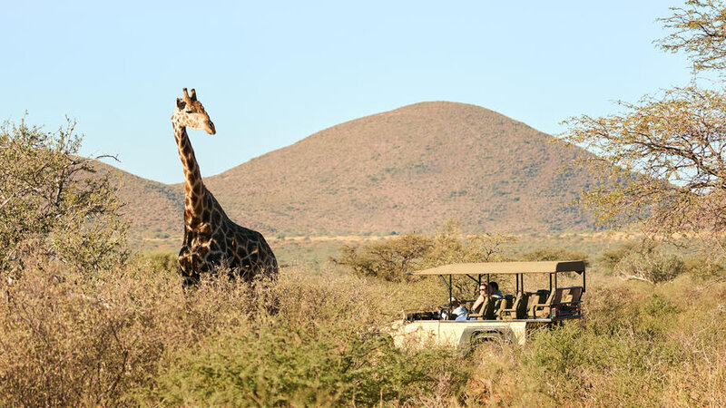 Zuid-Afrika-Tswalu-Kalahari-streek-hotel-Motse-wetu-gamedrive-7