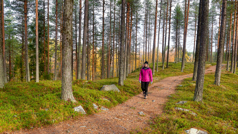 Zweden-Lapland-Arctic-Retreat-zomer-hiken