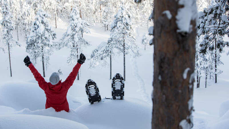 Amazing hideaway in Zweeds Lapland