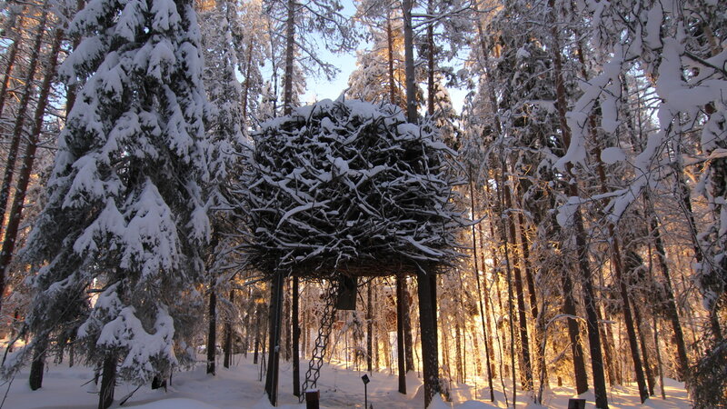 Zweden-Lapland-Harads-treehotel-johan-jansson-birds-nestJPG