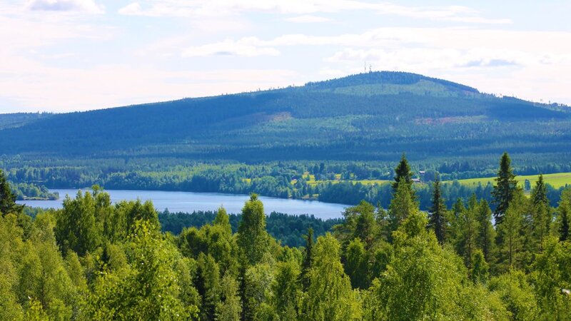 Zweden-Lapland-Harads-Treehotel-summer-natuur-3-lina-sophia-olovsson-2