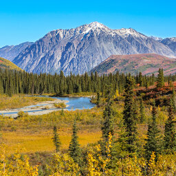 Alaska-Denali-herst-Nationaal park