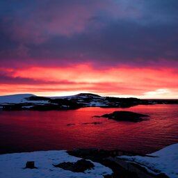 Antarctica  (1)