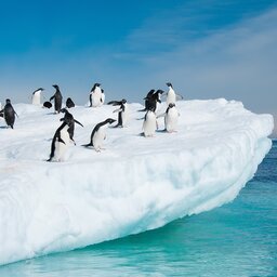 Antarctica  (2)