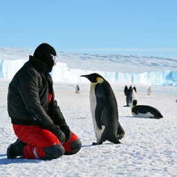 Antarctica (5)