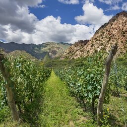 Argentinië - Salta - Jujuy (3)