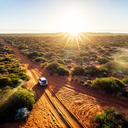 Australië - Francoise Peron - Shark Bay