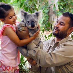 Australië - Koala's (1)