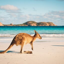 Australië - Lucky Bay - Cape Le Grand National Park - Esperance -Western Australia