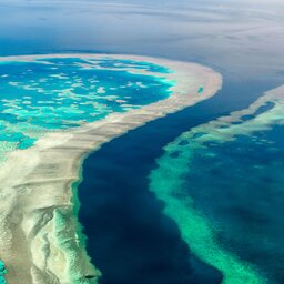 Australië - The Great Barrier Reef - Duiken (4)