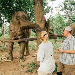 Azië-Laos-olifant