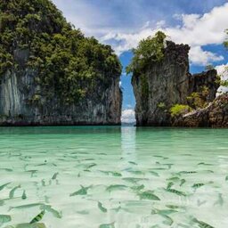 Azië-Thailand-phang-nga-bay-vissen