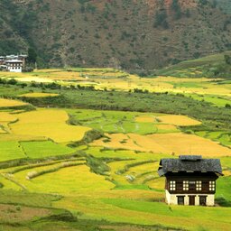 Bhutan-algemeen-groene vlaktes