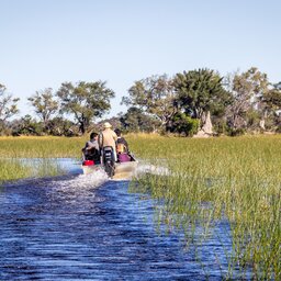 Botswana-Chobe-National Park-Algemeen-safari