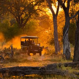 Botswana_Jeep