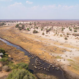 Botswana-Makgadikgadi-Leroo-La-Tau-algemeen