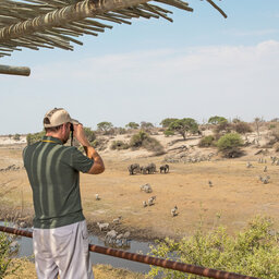 Botswana-Makgadikgadi-Leroo-La-Tau-wild