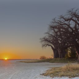 Botswana-Makgadikgadi zoutpannen (4)