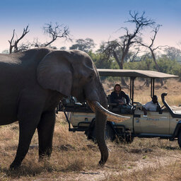 Botswana-Moremi-Game-Reserve-Khwai-Leadwood-Camp-jeep