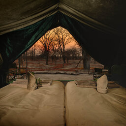 Botswana-Moremi-Hyena Pan Tented Camp9