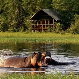 Botswana-OkavangoDelta-Sable Alley Camp4