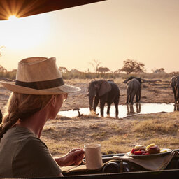 Botswana-Savuti-Belmond-Savute-Elephant-Lodge-wildlife-2