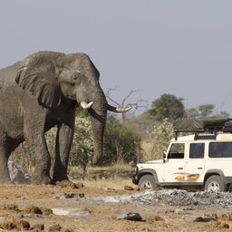 Botswana-shutterstock_Olifant Jeep