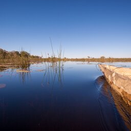 Botswana-shutterstock_VoorkantBoot