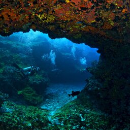 Brazilië - Fernando de Noronha - duiken (7)