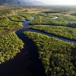 Brazilië - Manaus – Amazonia (1)