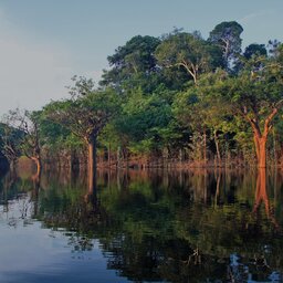 Brazilië - Manaus – Amazonia (7)