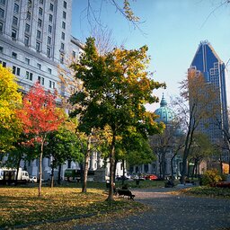 Canada - montreal