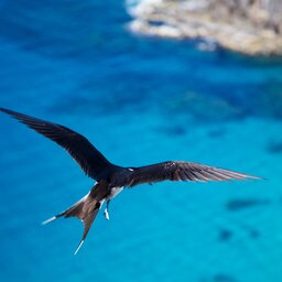 Capella Lodge - Lord Howe Island - Australië (1)