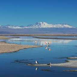 Chili-Atacama-Excursies-Atacama-zoutvlakte-&-Toconao-1