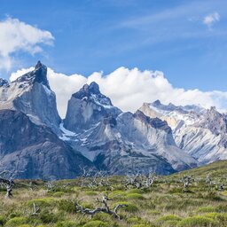 Chili - Torres Del Paine (9)