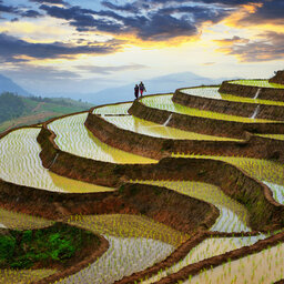 China-Yunnan-hoogtepunt-rijstterrassen