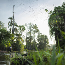 Congo-Brazzaville-odzala NP-moeraswalk 2