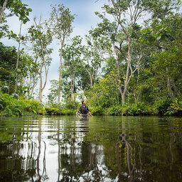 Congo-Brazzaville-odzala NP-moeraswalk 3