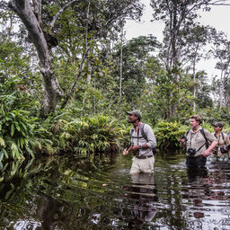 Congo-Brazzaville-odzala NP-moeraswalk