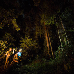 Congo-Brazzaville-odzala NP-night walk