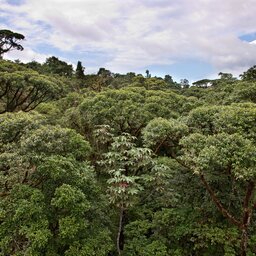 Costa rica - Canopy tour - deathride - Arenal - monteverde (4)